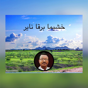 إبداعات أيقاع الجنيدي من غرب السودان - تراث قبائل الرزيقات إيقاع جنيدي خشيما برقاً ناير سحابا فوقا شايل المبدع إبراهيم إدريس