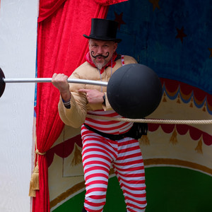 Musicas para Alegrar o Dia - Nostalgic Circus Music