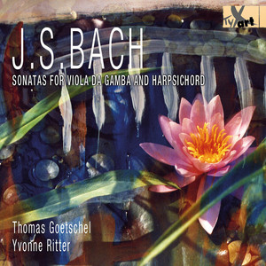 Viola da gamba Sonata in G Minor, BWV 1029: I. Vivace