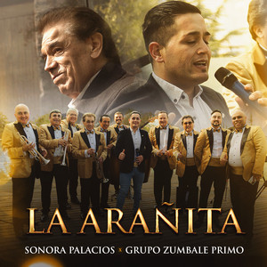 Sonora Palacios & Grupo Zúmbale Primo - La Arañita