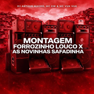 Montagem Forrozinho Louco x As Novinhas Safadinha