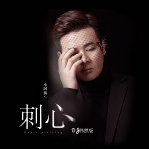刺心（DJ偉然版） by 小阿楓