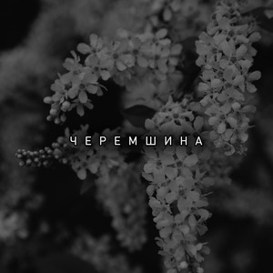 Черемшина