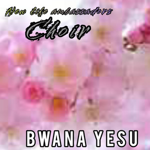 New life ambassadors choir - Bwana yesu