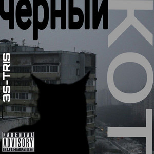 Чёрный кот