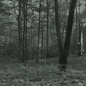 scarlet river, east of the mountainside by bedroom noise