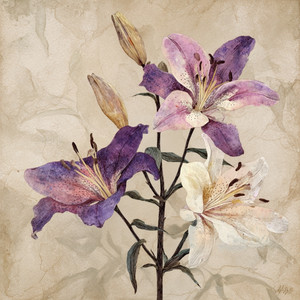 Lily by ArtDéco