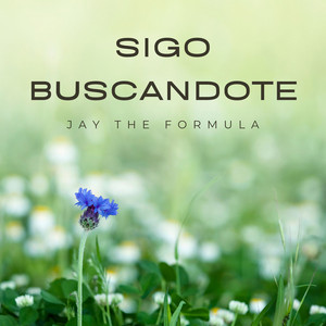 Sigo Buscandote by Jay The Formula