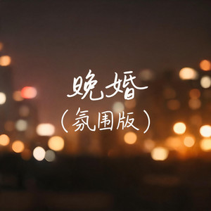 晚婚（氛围版） by 大头针