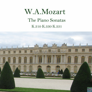 Alla turca Allegretto by Shim'z Music