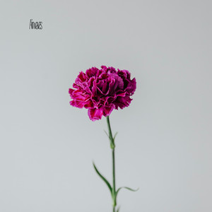 Airwaves by weightless minutes