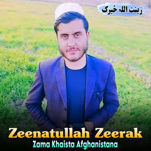 Zeenatullah Zeerak - Wali Me Wos Mor Qabar Ta Na Razi