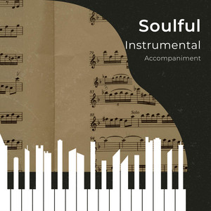 zZz Soulful Instrumental Accompaniment zZz album
