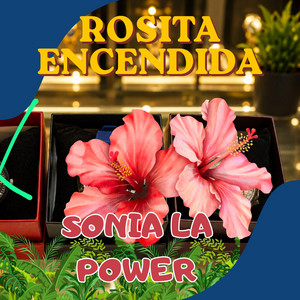 ROSITA ENCENDIDA by SONIA LA POWER