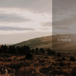 Lugnskog by Richome