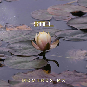 Still by Momtrox Mx