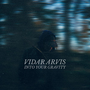 Into Your Gravity by Vidar Arvis