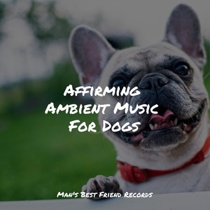 Affirming Ambient Music For Dogs album