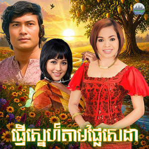ផ្ញេីស្នេហ៍​តាមផ្លែ​សេដា​ by ហុឹម សុីវន