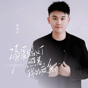 刘阳阳 - 凌晨路灯照着我的疲惫 (伴奏)