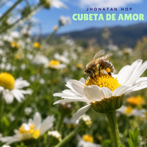 Cubeta de amor by Jhonatan hop