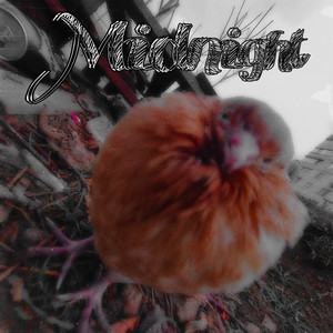 Обкладинка: Midnight