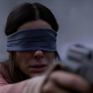 birdbox