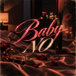 Baby No by Zafra Roche
