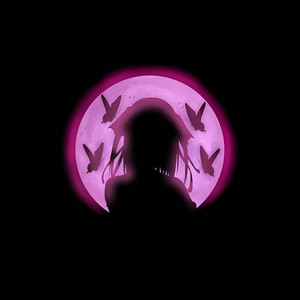 The Explanation artist photo