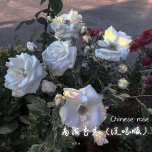 南海花痴 - 说唱版 by 鱼骨妹