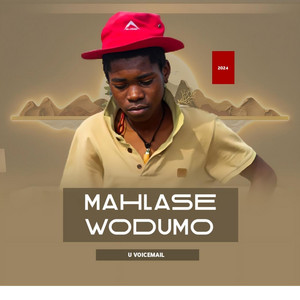 Mahlase Wodumo - Wawuthi Iplayer (feat. Nonji)