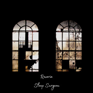 Reverie by Sleep Surgeon