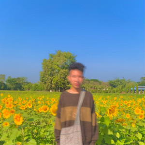 Uncle suns - Reply ( Short Version)