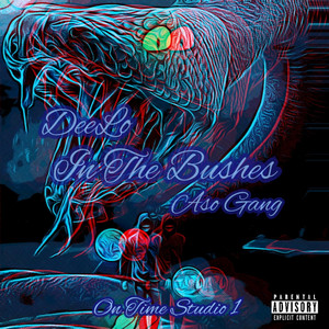 In The Bushes by DeeLo, ASO Gang