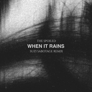 When It Rains - Suzi Sabotage Remix by The Spoiled, Suzi Sabotage