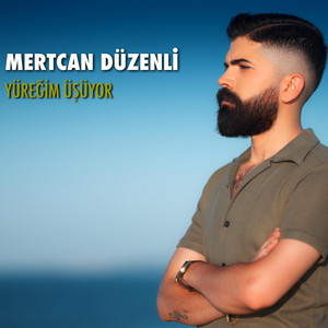 Mertcan Düzenli - Yüreğim Üşüyor