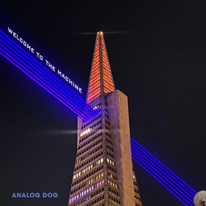 WELCOME TO THE MACHINE by Analog Dog