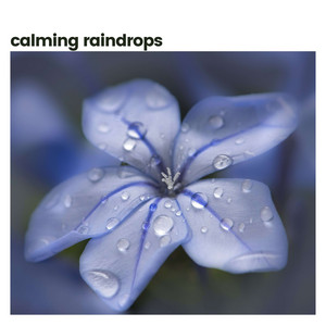 Calming Raindrops album