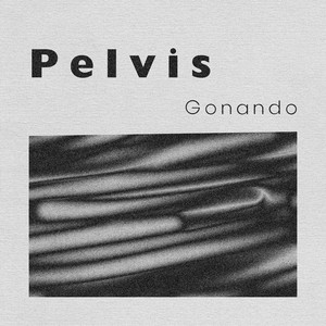 Pelvis by Gonando