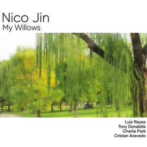 Nico Jin