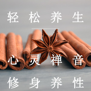 輕鬆治癒 - 心灵禅音(轻音乐)