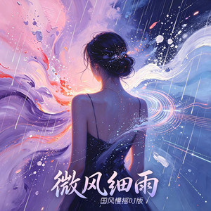 微风细雨 - 国风慢摇DJ版 by 天艺妩双, 张玮伽