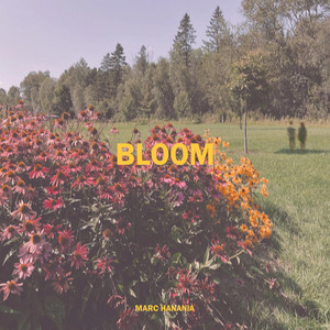 Bloom by Marc Hanania