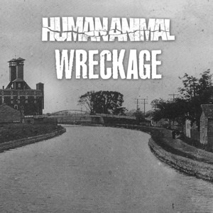 Wreckage poster