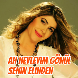 Ah Neyleyim Gönül Senin Elinden