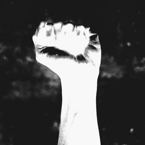 AERØHEAD - Fragments