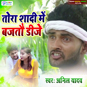 Anil Yadav - Tikuli Pe Piya Ji Ke Pyar Satal Chhai