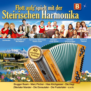Harmonikazeit by Die Pustertaler