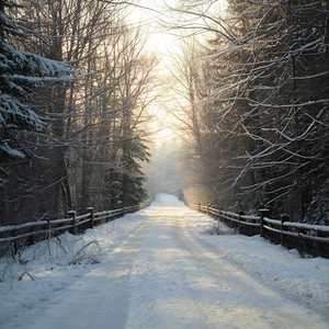 dai-mari - That Winter Melody