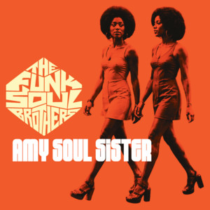 Amy Soul Sister by The Funk Soul Brothers, Bebo Best, The Super Lounge Orchestra, Duzzy